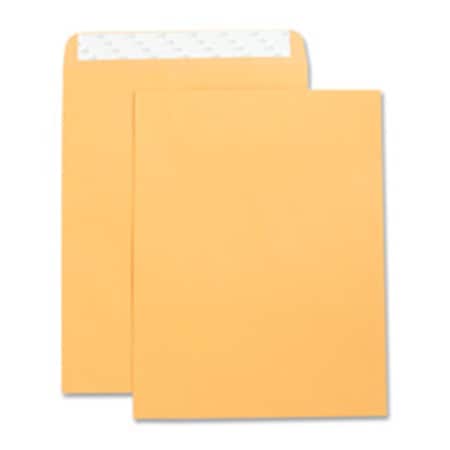 Davenport Catalog Envelopes - Kraft - 10in.x13in., 2PK DA3197641